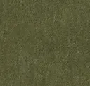 Fern Green