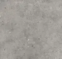 Pirenei Grey