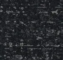 Nocturnal Silver