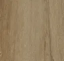 Caramel Oak
