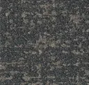Wildwood Dark