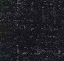 Nocturnal Silver