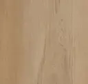 Amber Maple