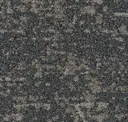 Wildwood Dark
