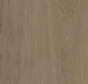 Hazelnut Oak