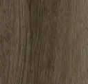 Toasted Oak