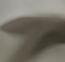Disco