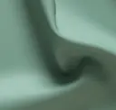 Salvia