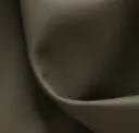 Army