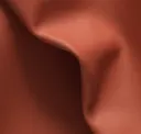 Argan
