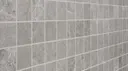 Silver Gray