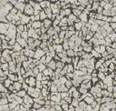 Topsoil