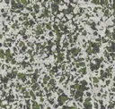 Peat Moss