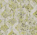 Lemongrass