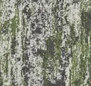 Peat Moss
