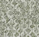 Peat Moss