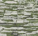 Peat Moss