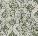 Peat Moss