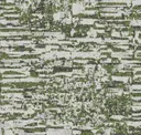 Peat Moss