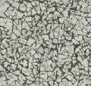 Peat Moss
