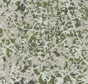 Peat Moss