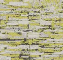 Lemongrass