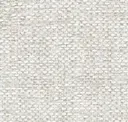 Salvia 02