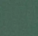 Ocean Green