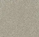 Sahara
