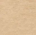 Sandy