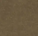 Muddy Gold