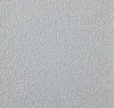 Silver 1031