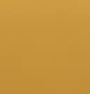 Camel Beige