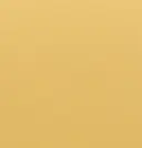 Light Mustard Beige