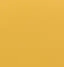 Golden Latte Yellow