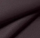Aubergine