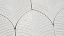White Feather
