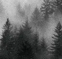 Greyscale