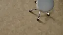 Terrain