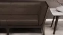 Terra