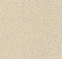Perlino