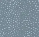 Confetti