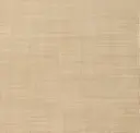 404