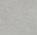 Alpaca