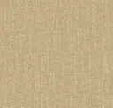 Desert