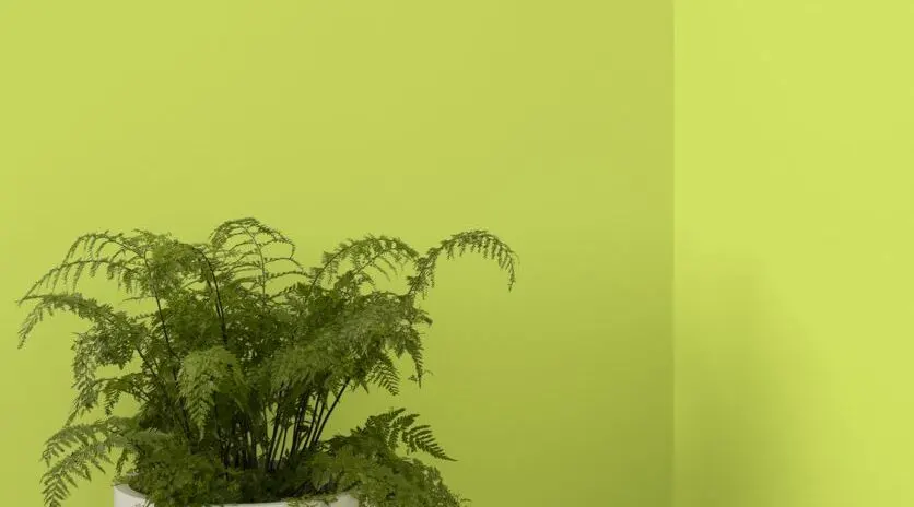 Install_01