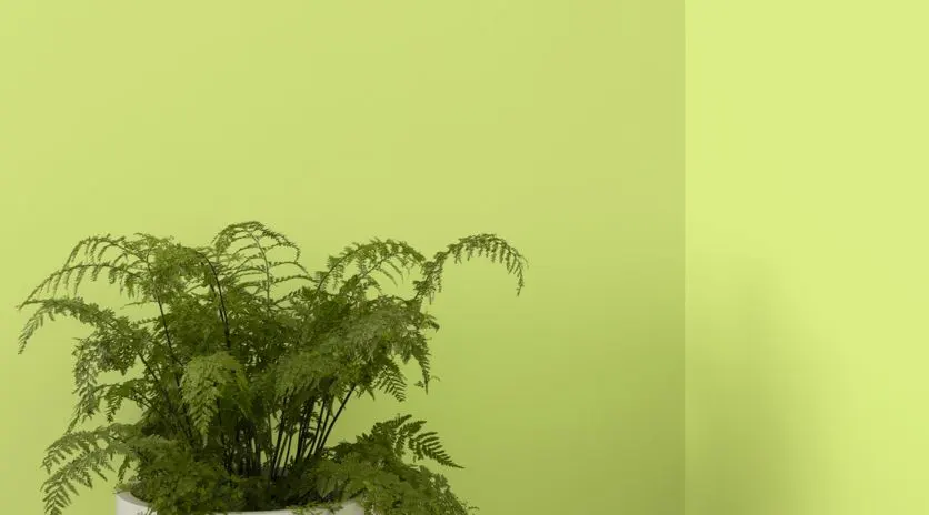 Install_01