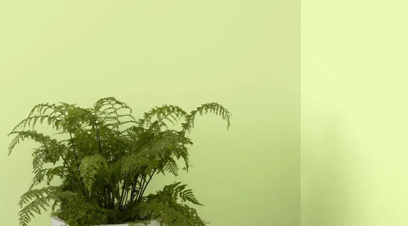 Install_01