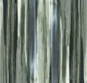 Forest River
