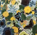 Butterflies & Lemonade